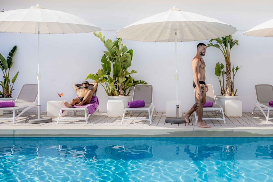 Pool The Purple Hotel